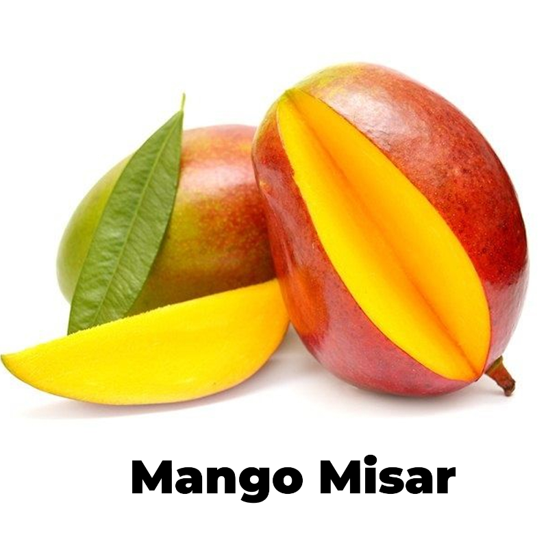 Mango Egypt Main Image